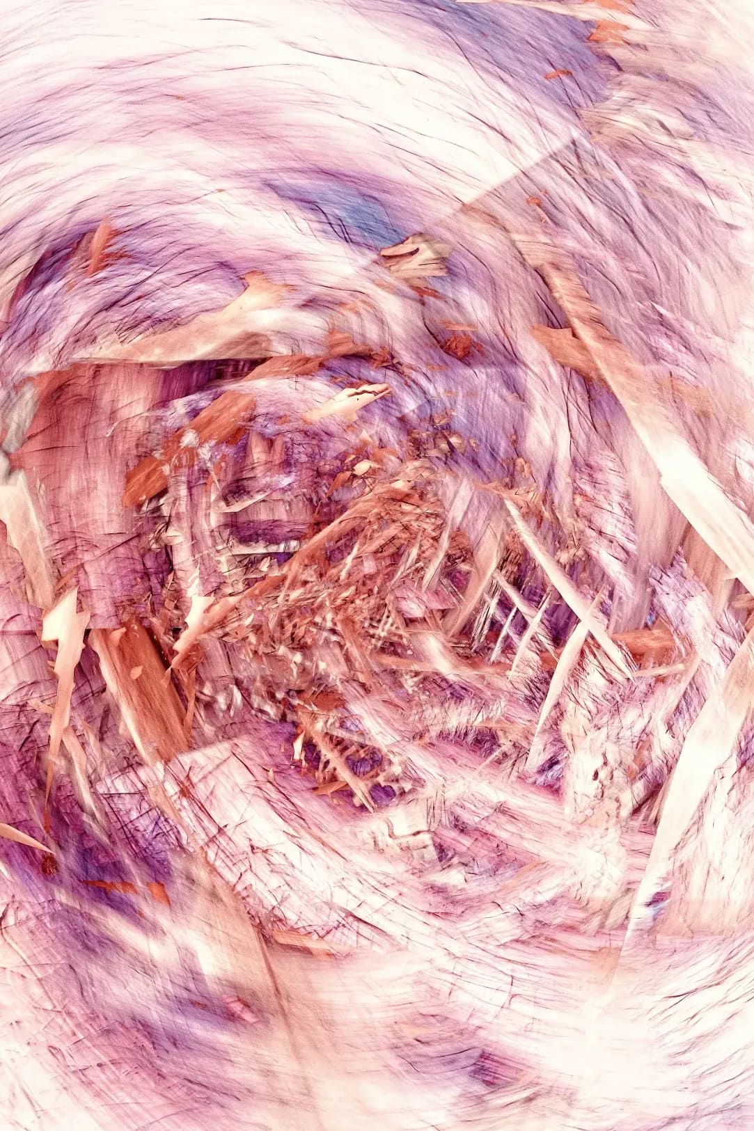 onehundred.digital 6